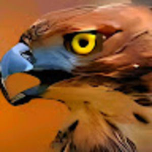 Meet your Posher, Armando